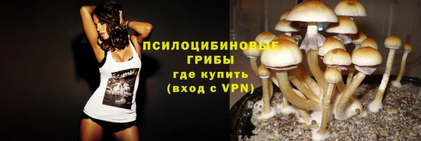 стаф Балабаново