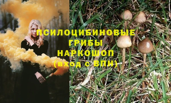 mdpv Балахна