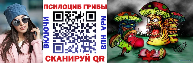 наркотики  Богданович  Галлюциногенные грибы мухоморы 